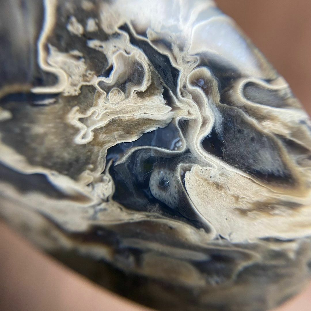 ペトリファイド パームウッド（珪化木）　ルース　天然石　化石　a10056 ハンドメイドの素材/材料(各種パーツ)の商品写真