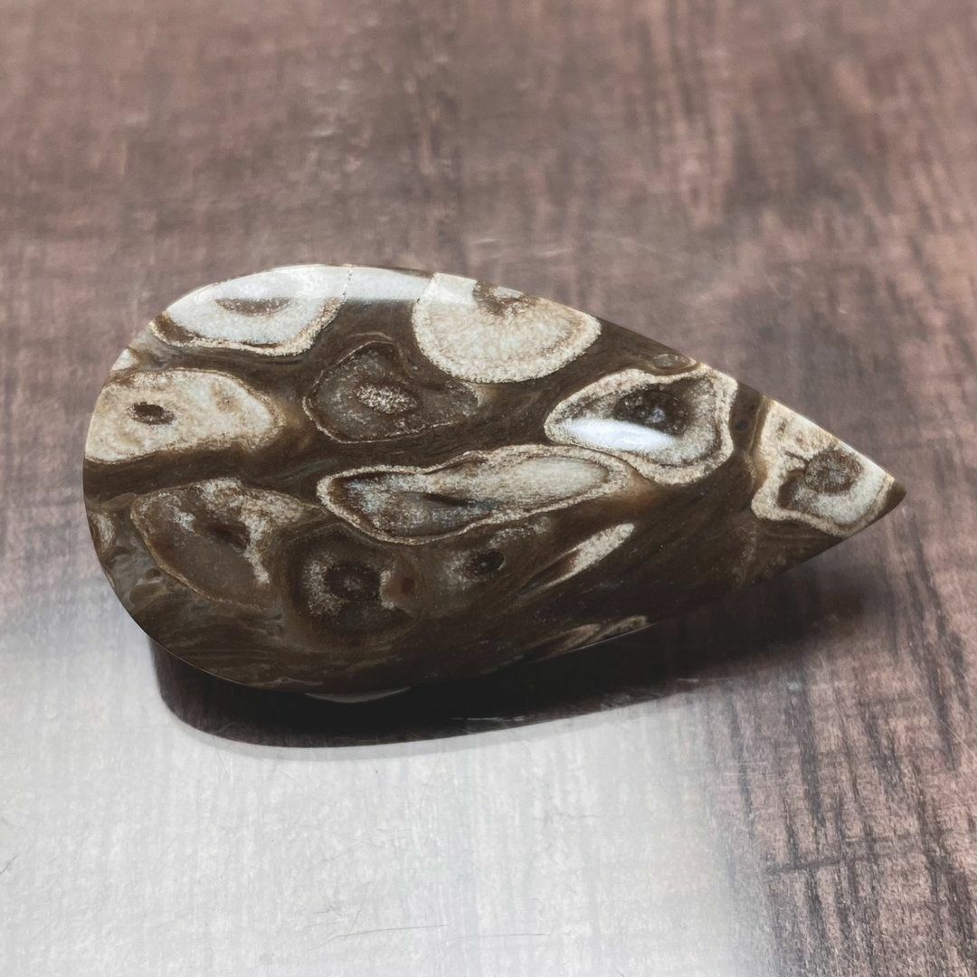 ペトリファイド パームウッド（珪化木） 天然石　(ペア可能)　化石　a10059 ハンドメイドの素材/材料(各種パーツ)の商品写真
