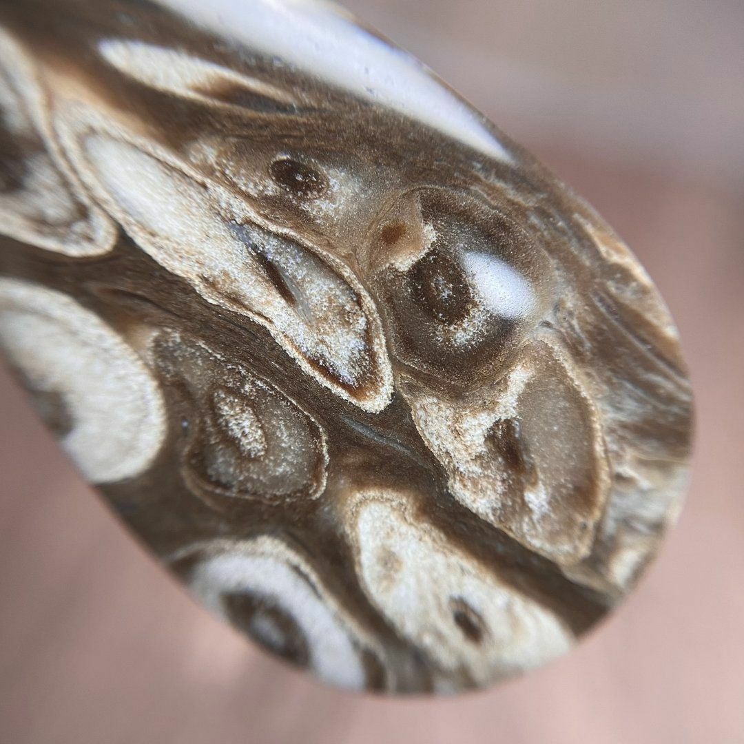 ペトリファイド パームウッド（珪化木） 天然石　(ペア可能)　化石　a10059 ハンドメイドの素材/材料(各種パーツ)の商品写真