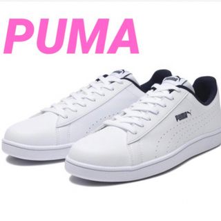 プーマ(PUMA)の【２８cm】  PUMA  UP PERF プーマ アップ パーフ 374776(スニーカー)