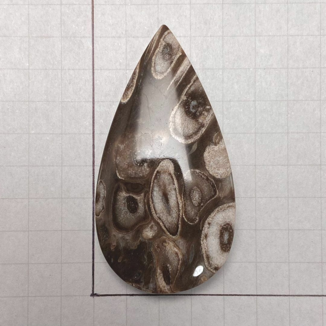 ペトリファイド パームウッド（珪化木） 天然石　(ペア可能)　化石　a10060 ハンドメイドの素材/材料(各種パーツ)の商品写真