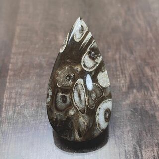 ペトリファイド パームウッド（珪化木） 天然石　(ペア可能)　化石　a10060(各種パーツ)