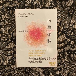 内的体験(文学/小説)