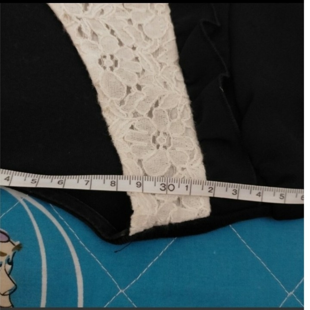 黒トップス＆ギンガムチェックのシースルーブラウス レディースのトップス(シャツ/ブラウス(半袖/袖なし))の商品写真