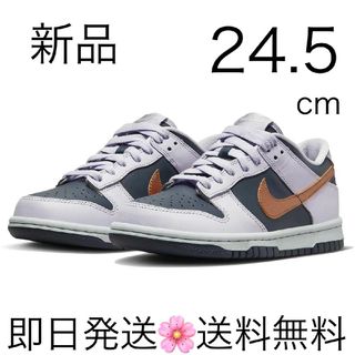 ナイキ(NIKE)の国内正規品 24.5cm ナイキ ダンク LOW SE (GS ) ブルー(スニーカー)