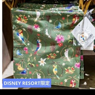 ディズニー(Disney)の★DISNEY RESORT限定　新品タグ付き　巾着 グリーン 定価以下(キャラクターグッズ)