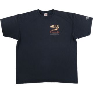 古着 90年代 アンビル Anvil 恐竜柄 アニマルTシャツ メンズXXL ヴィンテージ /eaa442157