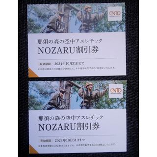 【 8名分 】NTD 那須の森の空中アスレチック NOZARU 割引券 2枚(遊園地/テーマパーク)