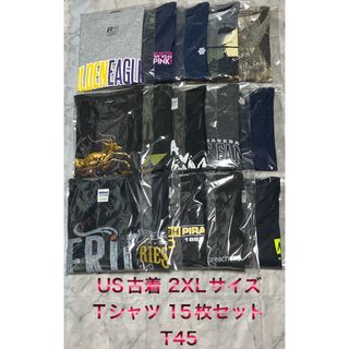 ヘインズ(Hanes)のアメリカ古着 2XLサイズ ビンテージ Tシャツ15枚セット まとめ売り超特価(Tシャツ/カットソー(半袖/袖なし))