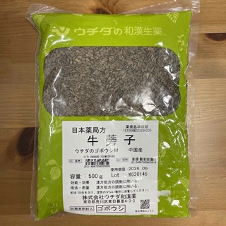 【新品未開封】ゴボウシ　牛蒡子　お茶　500グラム(健康茶)