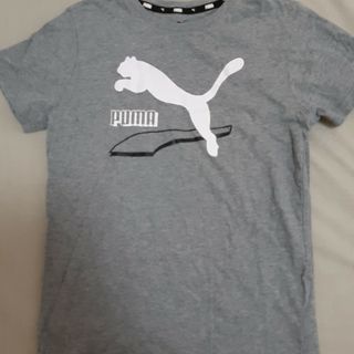 プーマ(PUMA)のPUMA グレー　Tシャツ　150(Tシャツ/カットソー)