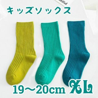 XL キッズソックス ネオン 3足セット 19-20 靴下 蛍光色 若草 青 緑(靴下/タイツ)