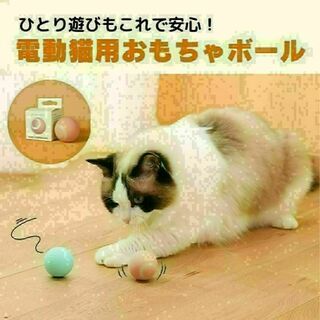 猫おもちゃ 猫じゃらし 電動ボール 猫オモチャ ペット留守番 USB充電式 子猫(猫)