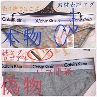 カルバンクライン(Calvin Klein)のカルバンクライン ランジェリーハンガー 10本 下着用 2枚掛け CK(その他)