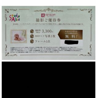 スタジオアリス　撮影券(その他)