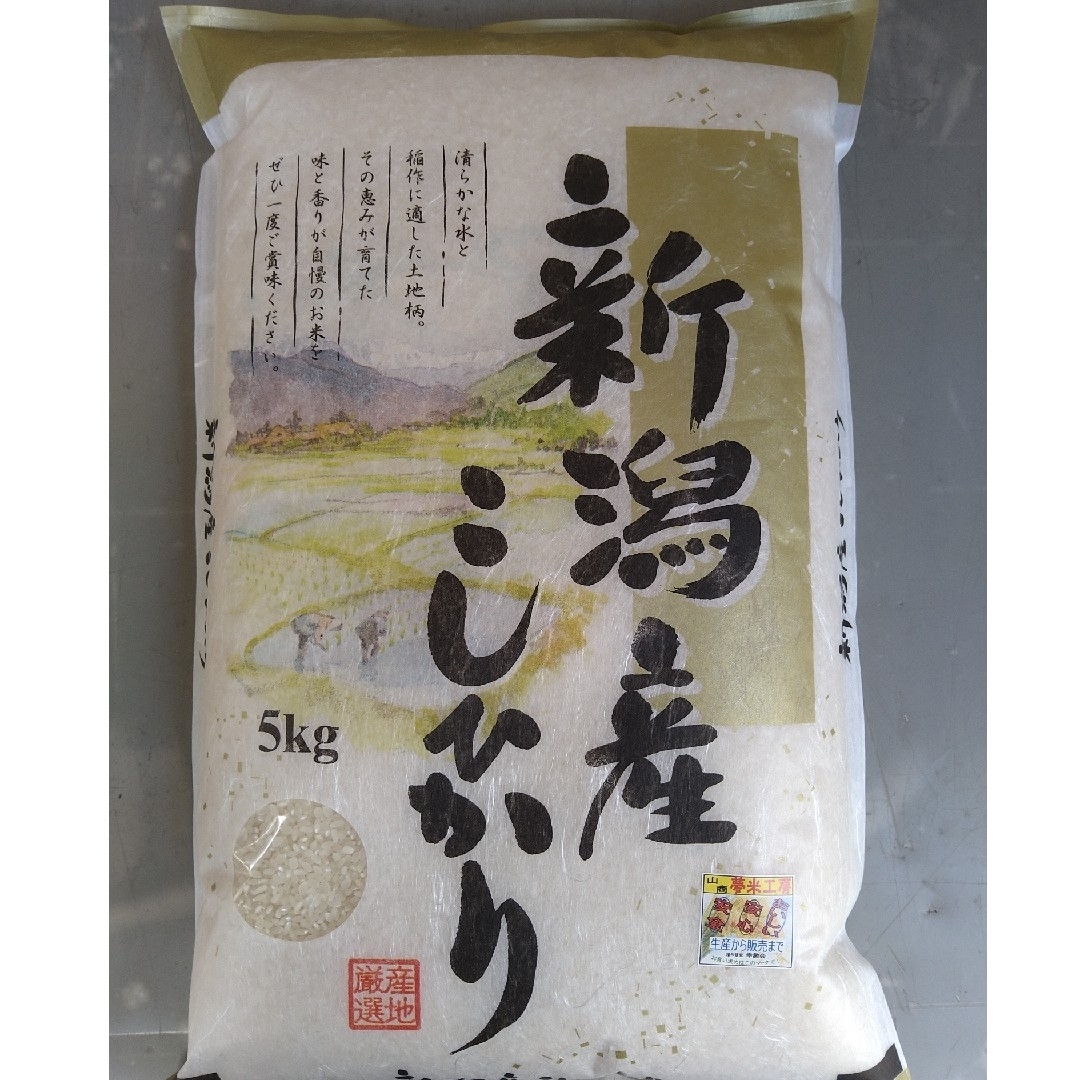 農家直送  新潟県産コシヒカリ白米5㎏(令和5年産) 食品/飲料/酒の食品(米/穀物)の商品写真