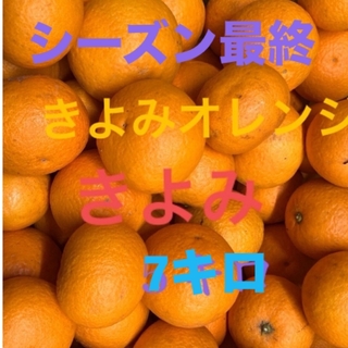 きよみオレンジ　５キロ　訳あり(野菜)