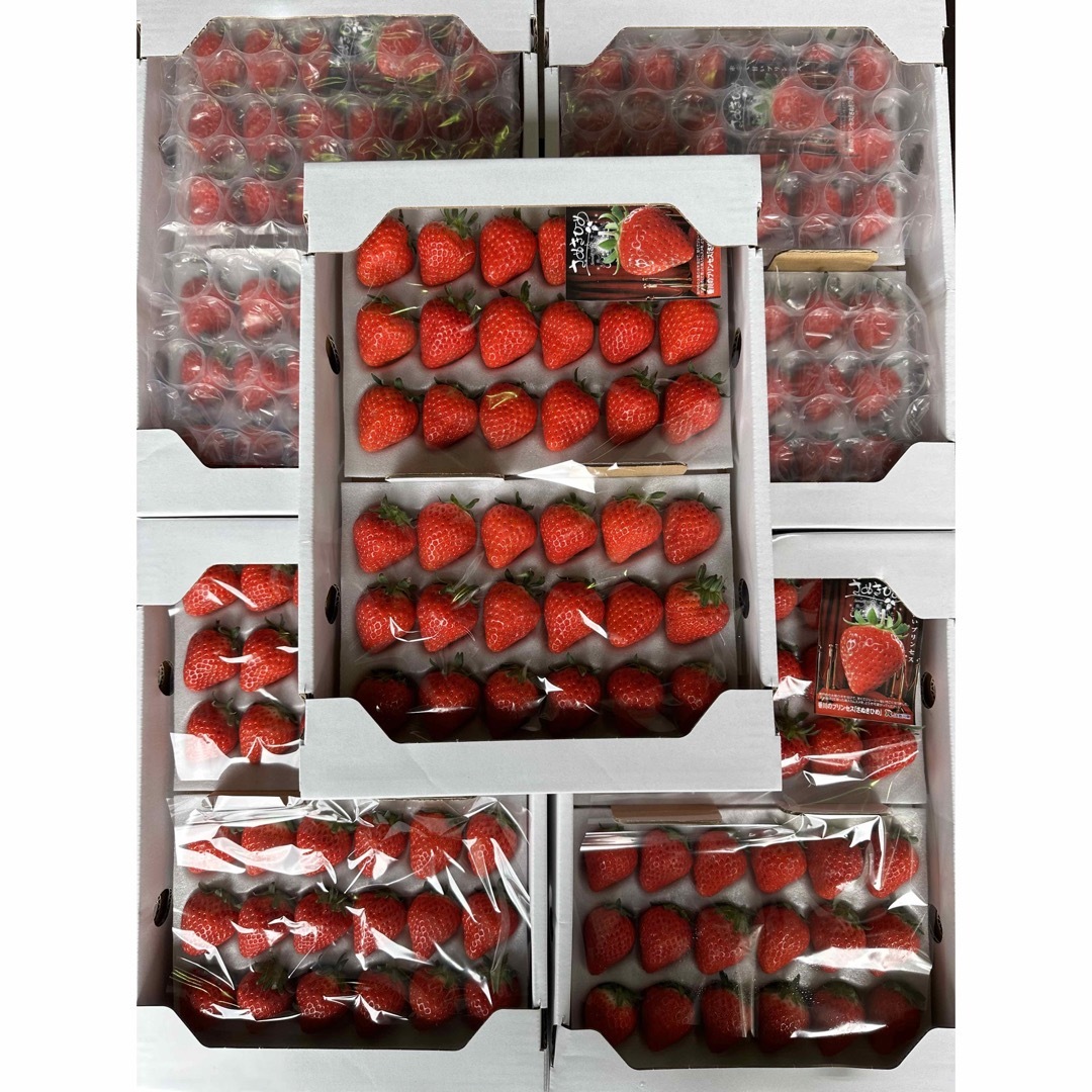 さぬきひめ 約4kg (800g×5箱) いちご ジャム用 食品/飲料/酒の食品(フルーツ)の商品写真