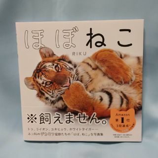 ほぼねこ