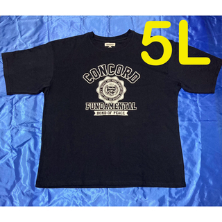 ヴィンテージ風 カジュアル半袖Tシャツ メンズ大きいサイズ 5L (Tシャツ/カットソー(半袖/袖なし))