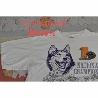 90’ｓ Tシャツ t14429 シングルステッチ 綿100％ ビンテージ 00(Tシャツ/カットソー(半袖/袖なし))