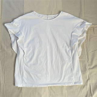 プラステ(PLST)のPLST 洗える シルケットコットンラッフルスリーブTシャツ　フレンチスリーブ(Tシャツ(半袖/袖なし))