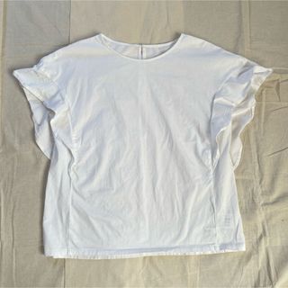 PLST - PLST 洗える シルケットコットンラッフルスリーブTシャツ　フレンチスリーブ