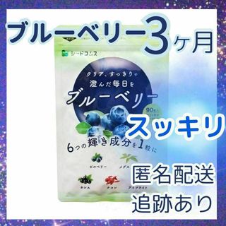 ブルーベリー　サプリメント　3ヶ月分　90粒　シードコムス(その他)