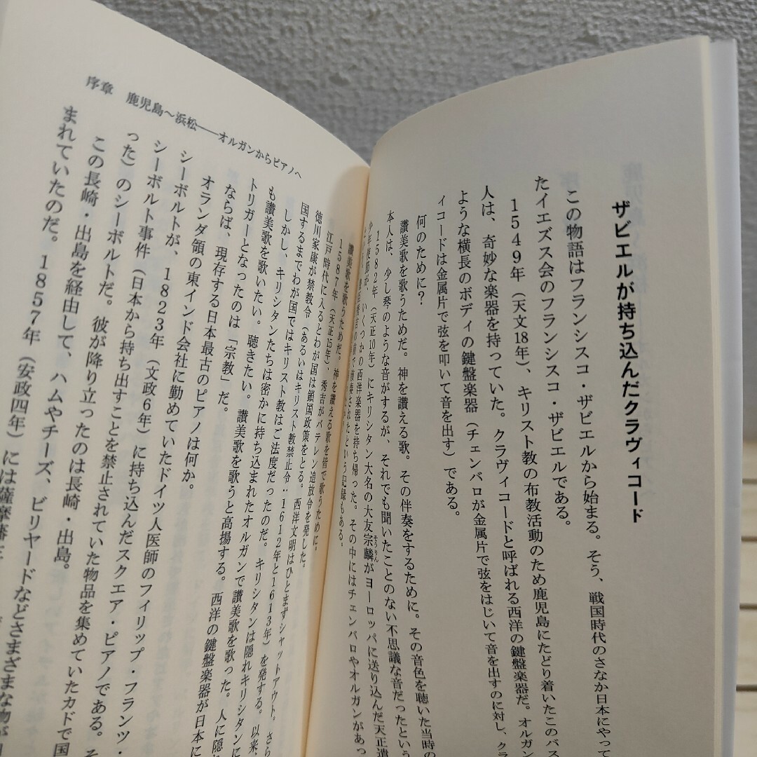 光文社(コウブンシャ)の『 日本のピアニスト / その軌跡と現在地 』■ エンタメ/ホビーの本(ノンフィクション/教養)の商品写真