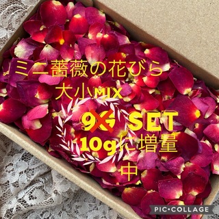大特価！ミニ薔薇の花びら（大小mix）9g→10gに増量中！★ドライフラワー花材(ドライフラワー)