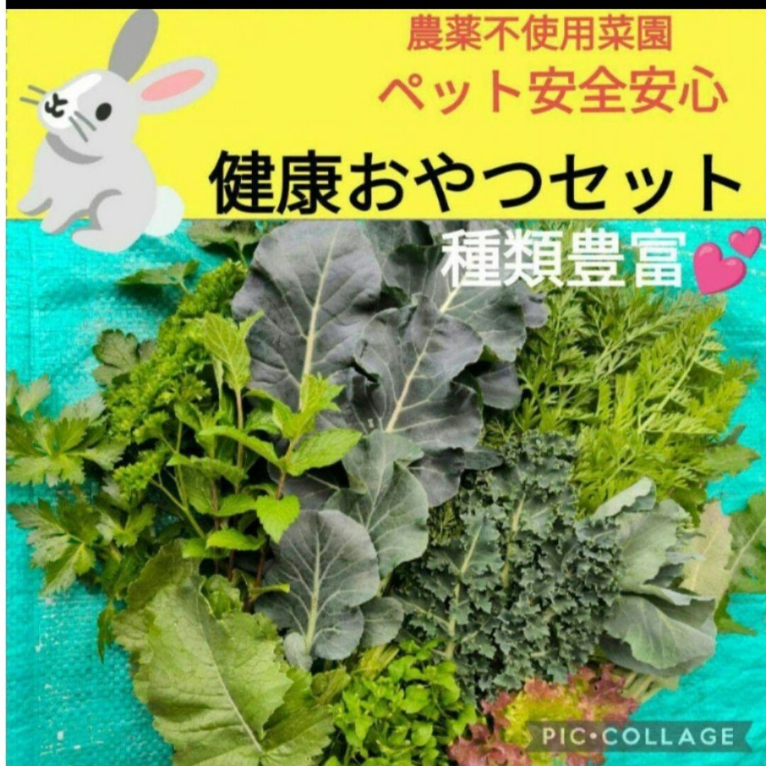 ペット健康おやつセット♥合計200g〜ネコポスsize！ その他のペット用品(小動物)の商品写真