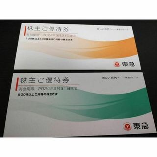 [匿名配送] 東急 株主優待冊子(100株&500株)(その他)