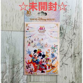 TDL グランドフィナーレ　キーチェーン(キーホルダー)