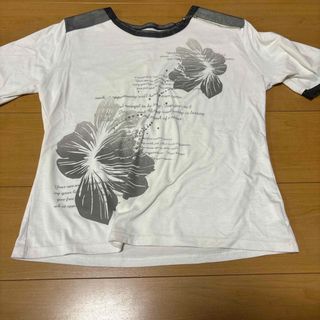 ティーシャツ(Tシャツ(半袖/袖なし))