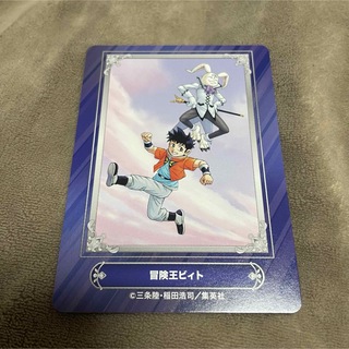 冒険王ビィト　アニメイト　ジャンプフェア　2024 特典　カード 