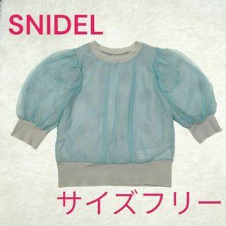 スナイデル(SNIDEL)のSNIDEL　エンブロイダリーニットプルオーバー　サイズフリー　シアー素材　ラメ(シャツ/ブラウス(長袖/七分))