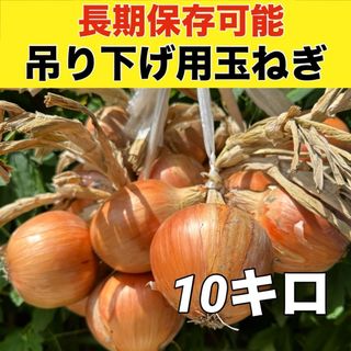 今年も販売‼️吊るして保存‼️玉ねぎ10キロ入‼️(野菜)