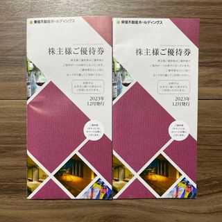 東急不動産ホールディングス 株主優待 2冊セット(宿泊券)