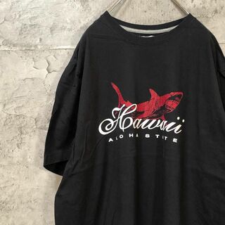 HAWAII サメ ホラー系プリント カレッジロゴ 雰囲気抜群 Tシャツ(Tシャツ/カットソー(半袖/袖なし))