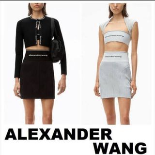 アレキサンダーワン(Alexander Wang)のAlexanderWang アレキサンダーワン　スカート(ひざ丈スカート)