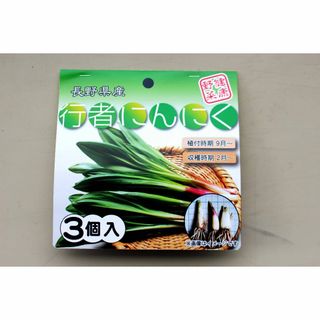 【プランターで美味しく収穫】行者にんにく7年物太球根苗パッケージ3本(野菜)