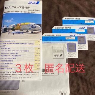 ANA 株主優待　3枚　株主優待券(航空券)