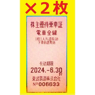 2枚セット2024/6/30迄 東武鉄道 電車全線片道切符(株主優待乗車証)④(鉄道乗車券)