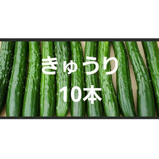 きゅうり10本(野菜)