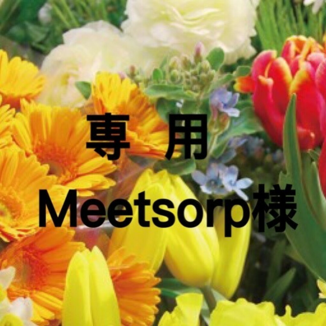 Meetsorp 様専用 エンタメ/ホビーのタレントグッズ(その他)の商品写真