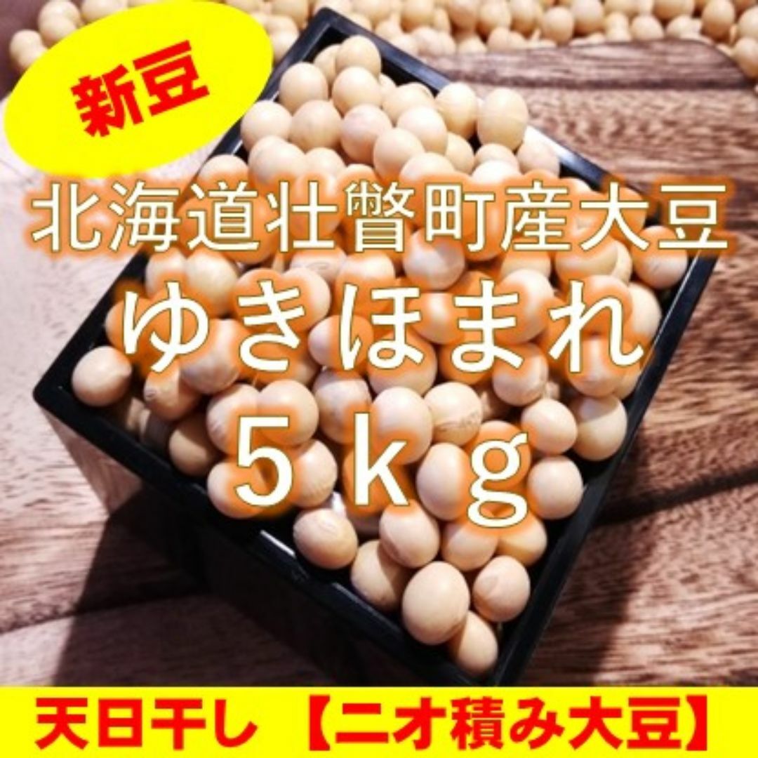 農家直送【新豆】令和5年産 北海道壮瞥町産大豆5㎏ 食品/飲料/酒の食品(米/穀物)の商品写真