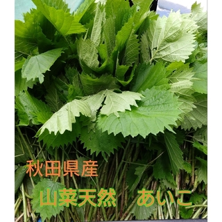 山菜　天然　あいこ　秋田県産　400g＋α(野菜)