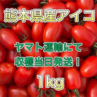 熊本県産ミニトマト アイコ 1kg ヤマト運輸(野菜)