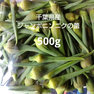 千葉県産ジャンボニンニクの蕾栽培期間中農薬不使用(野菜)