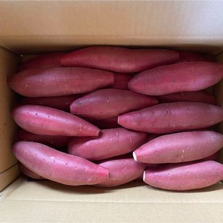 Mサイズ熟成シルクスイート5kg(野菜)